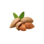 Kat badam 500 gm