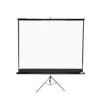 Apollo 96 Inch x 96 Inch Wall Mount Electronic Projector Screen